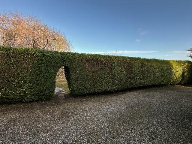 hedge-trimming (11)-kireth-ai